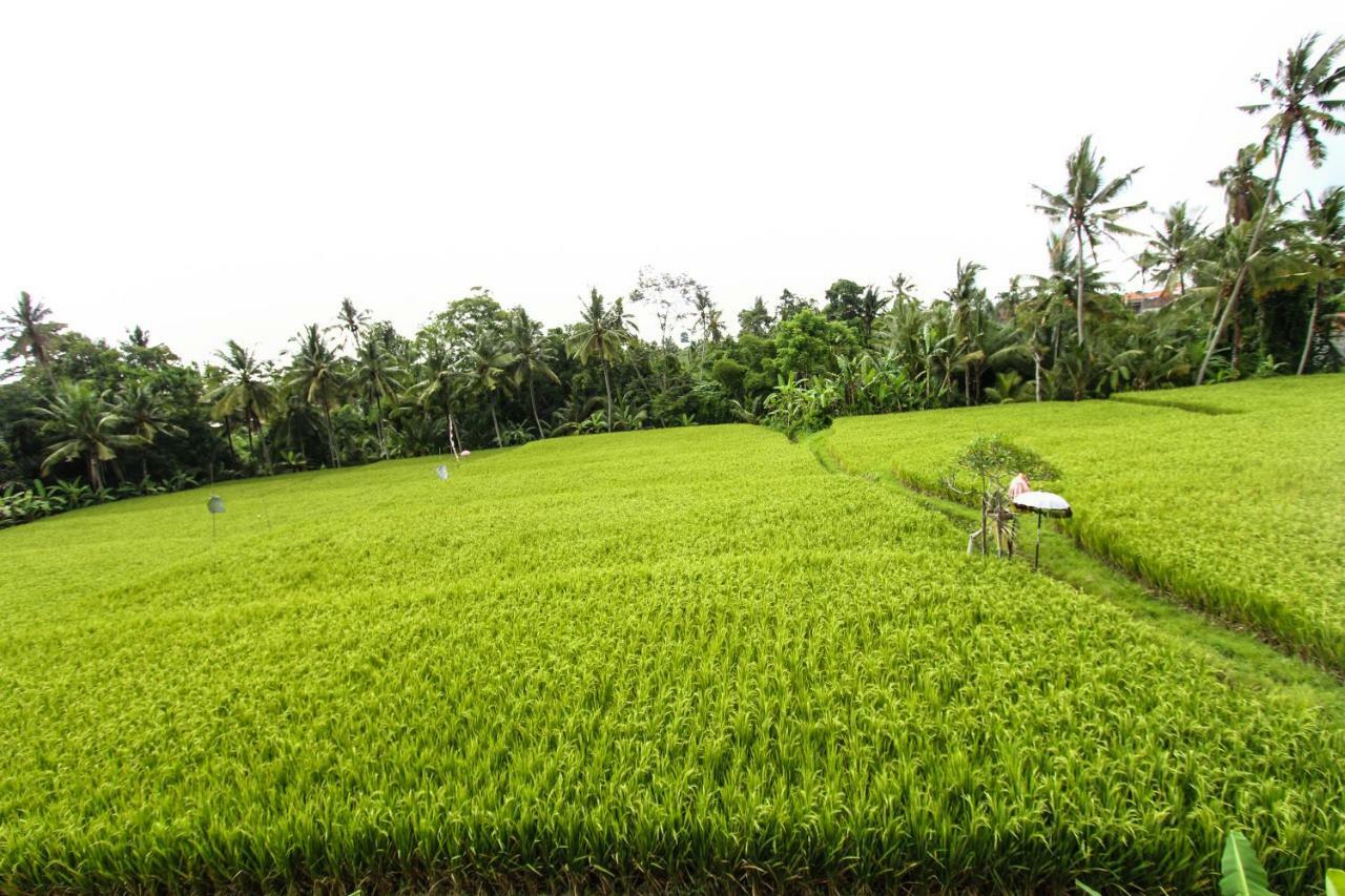 Ubud Hidden Villa Yone Village Екстериор снимка